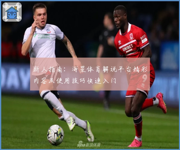 新人指南：海星体育解说平台精彩内容及使用技巧快速入门