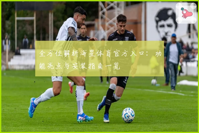 全方位解析海星体育官方入口：功能亮点与安装指南一览