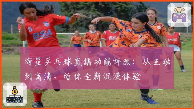 海星乒乓球直播功能评测：从互动到高清，给你全新沉浸体验