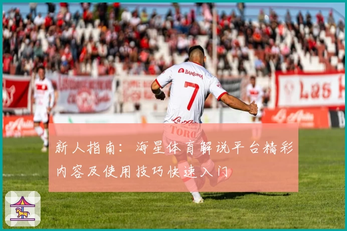 新人指南：海星体育解说平台精彩内容及使用技巧快速入门