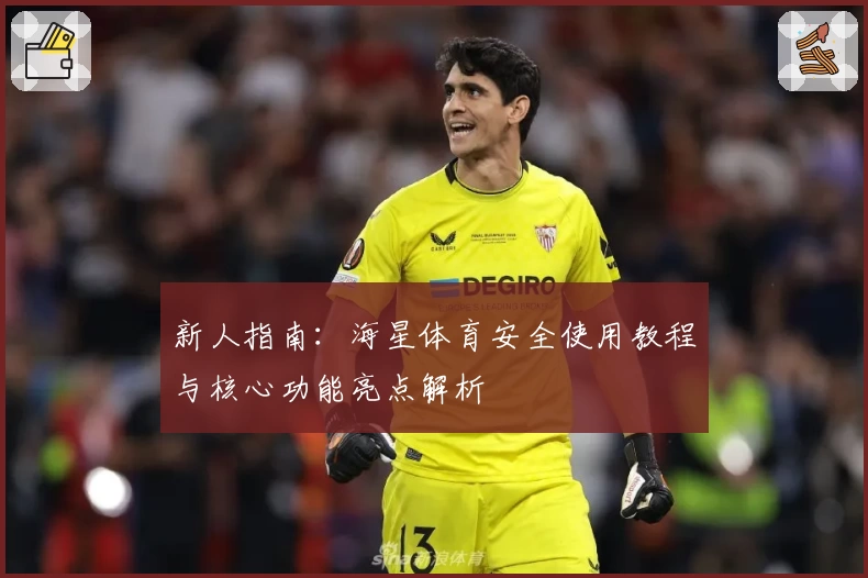 新人指南：海星体育安全使用教程与核心功能亮点解析