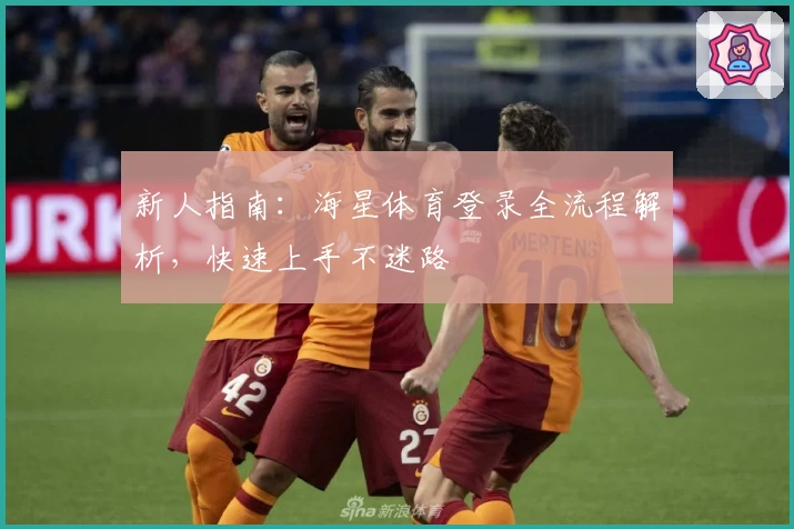 新人指南：海星体育登录全流程解析，快速上手不迷路