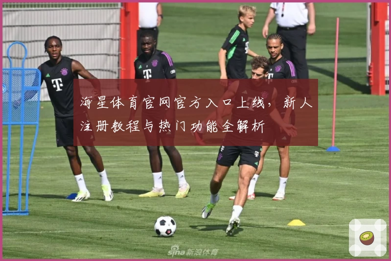 海星体育官网官方入口上线，新人注册教程与热门功能全解析